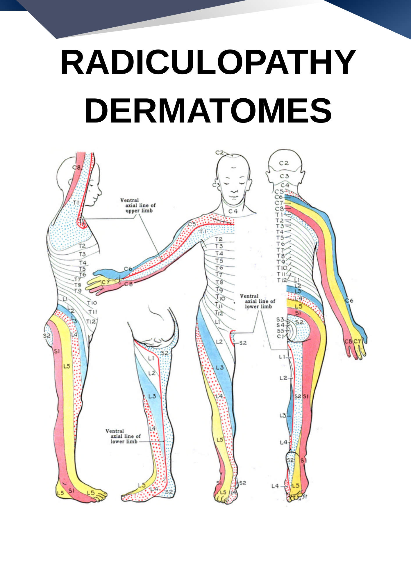 Structural Rehab Guide