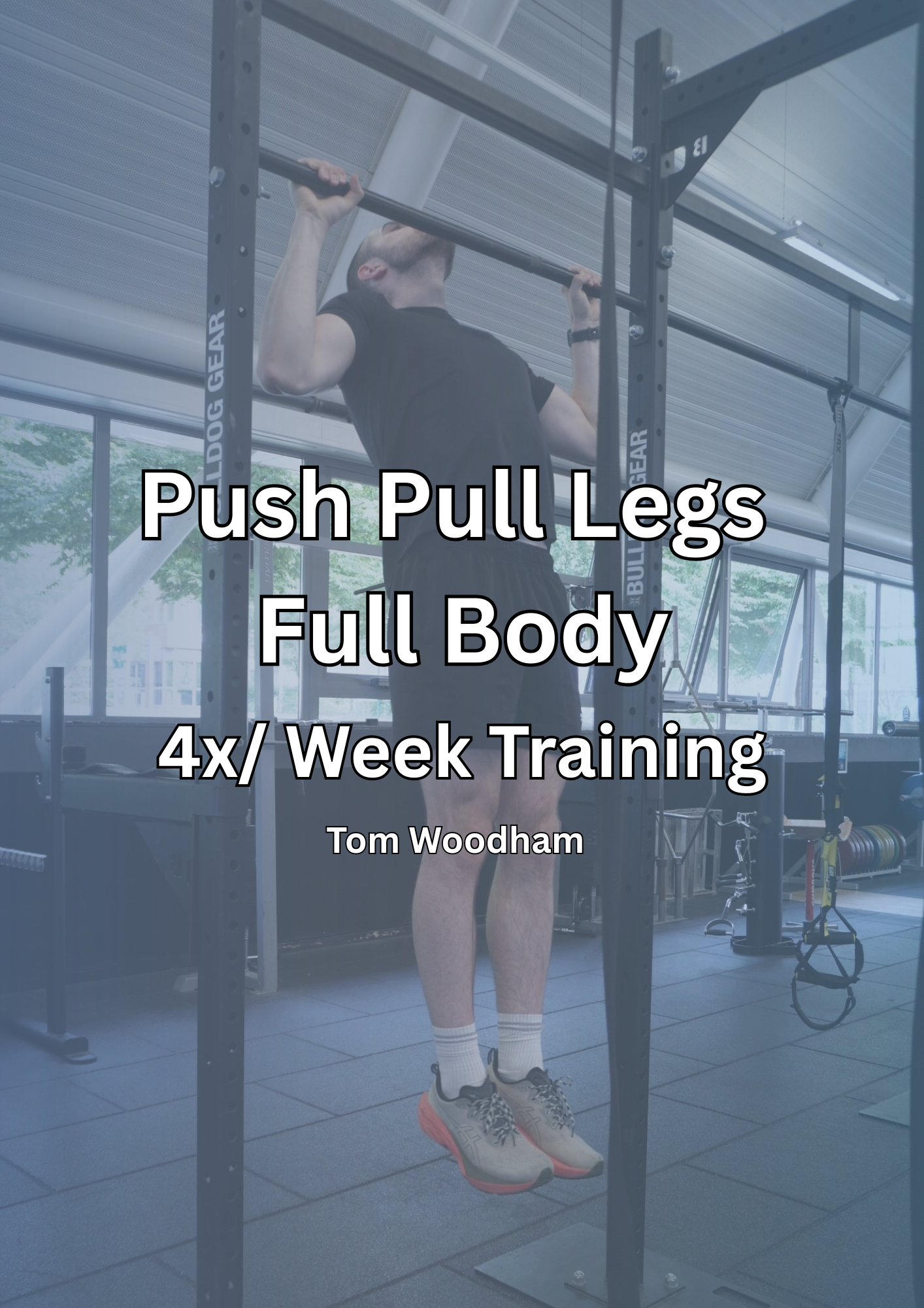 4x/ Week - Push Pull Legs Full Body - 16 week program