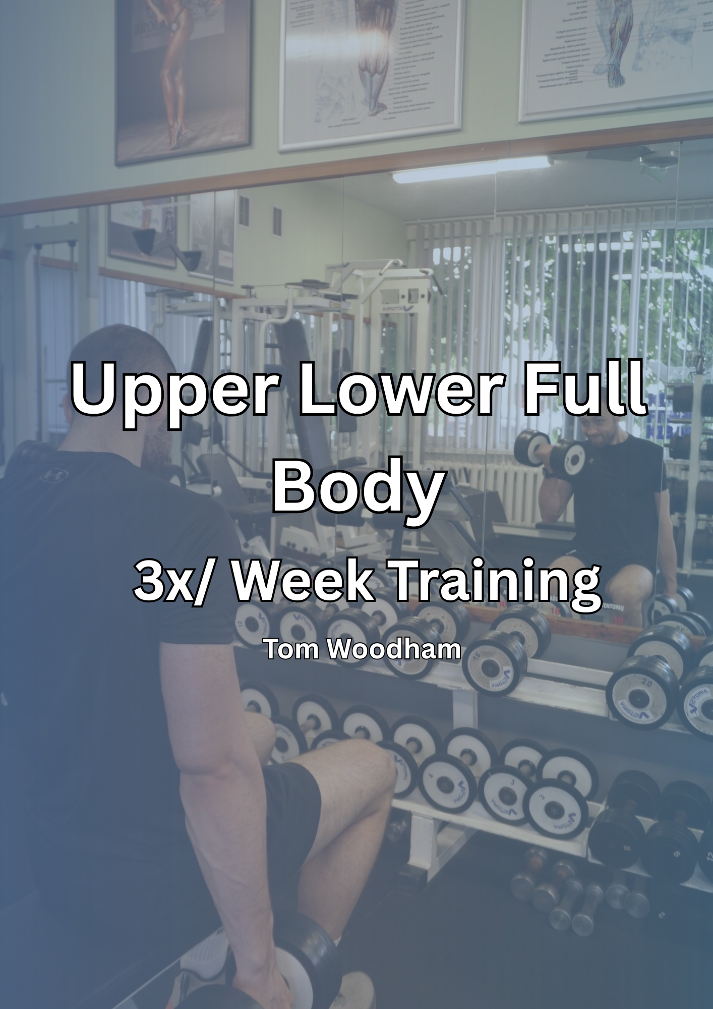 3x / Week Upper Lower Full Body - 16 week program