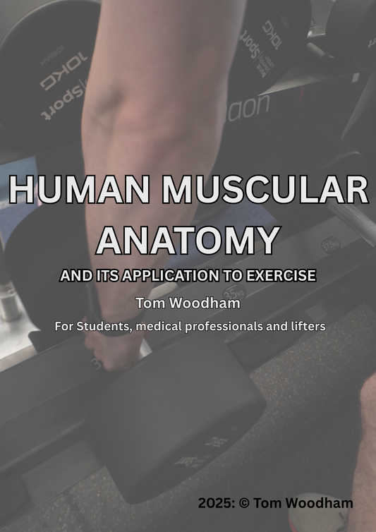 Human Muscular Anatomy and Lifting Biomechanics