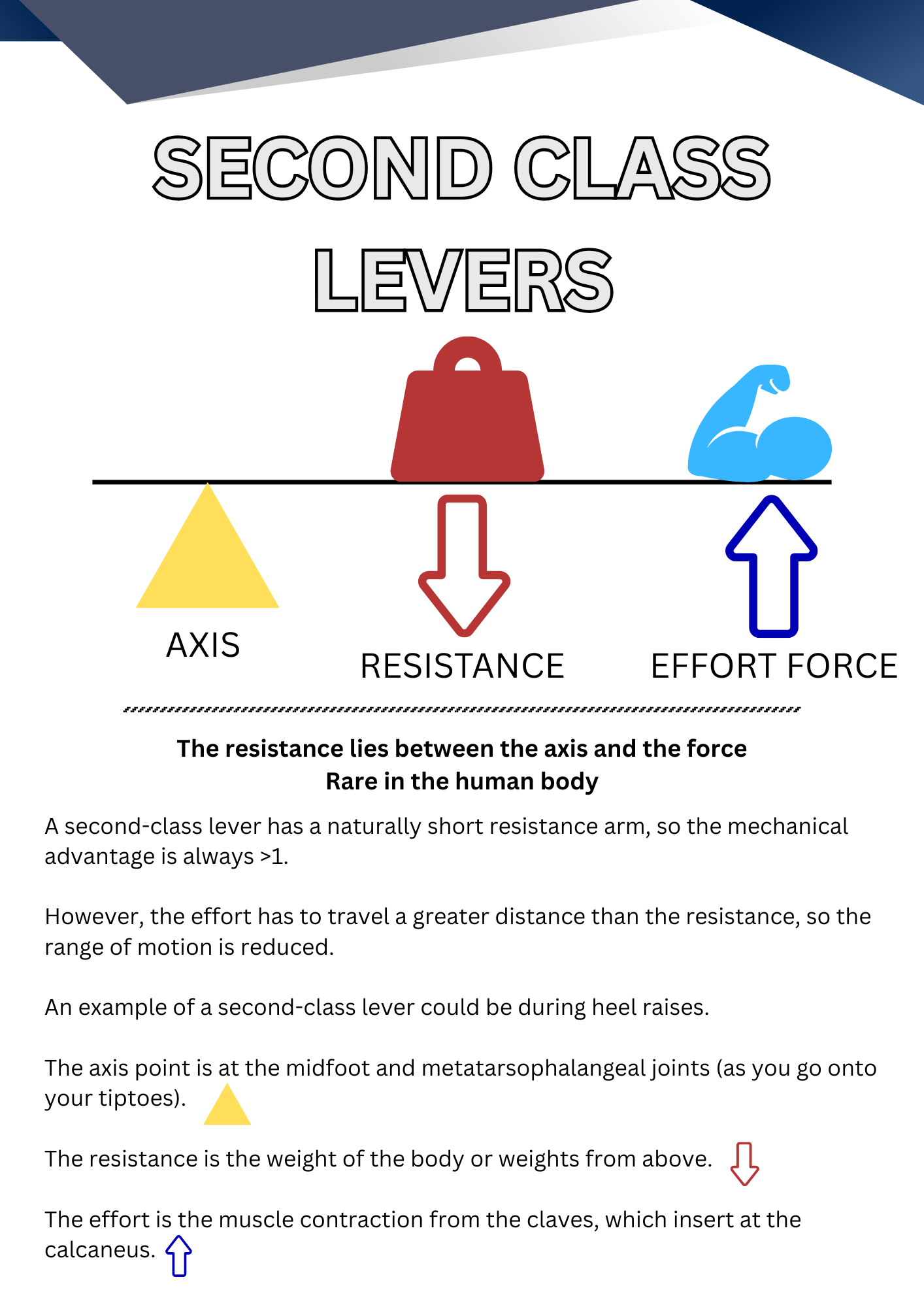 Structural Rehab Guide