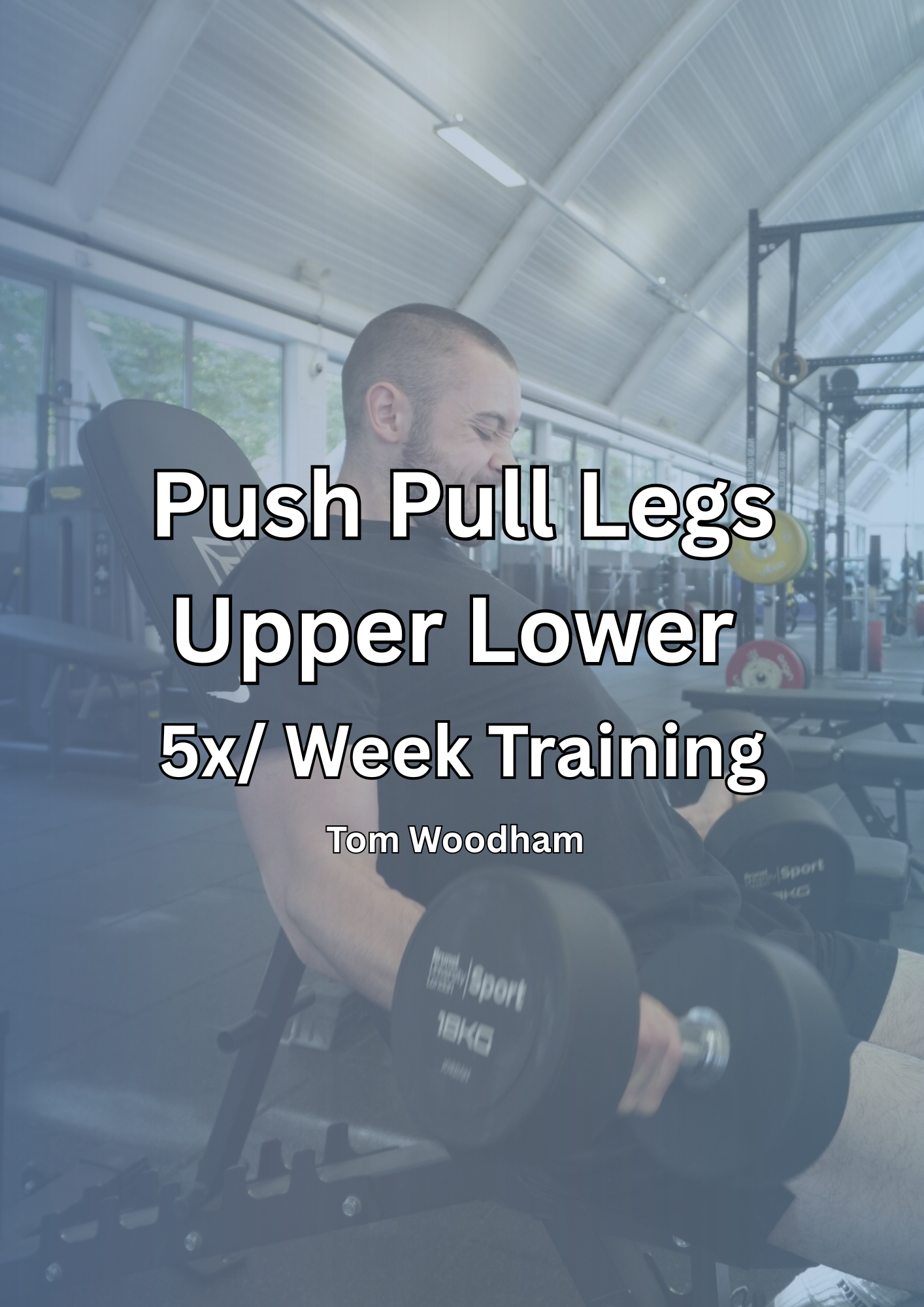 5x / Week Push Pull Legs Upper Lower - 16 week program