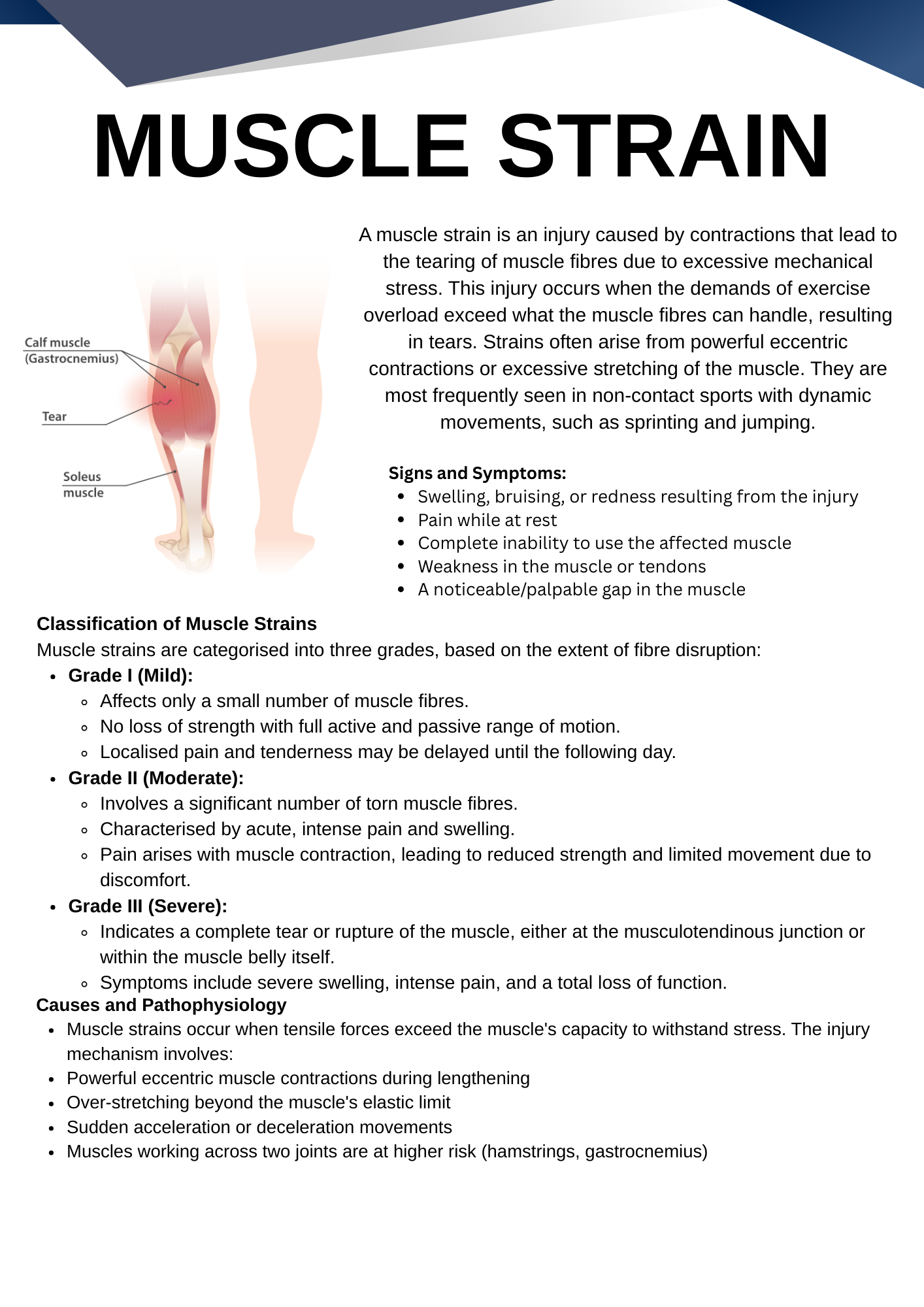 Structural Rehab Guide
